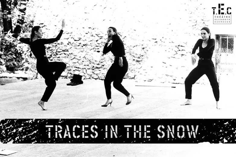 Traces in the snow